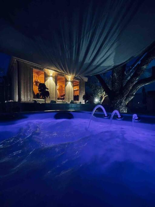 Chalet Vitaspa - Whirlpool & Sauna Privatspa ペグニッツ エクステリア 写真